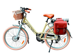 Elbike Monro Vip