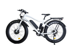 E-motions FAT 26 Double 2