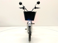 Электровелосипед GreenCamel Транк 18 V8 (R18 250W 60V 13Ah)