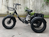 Трицикл электрический GreenCamel Трайк-F20 (R20FAT 500W 48V15Ah), Красный