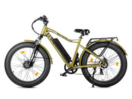 Электрофэтбайк VOLTECO BigCat Dual Next (черный)