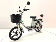 Электровелосипед GreenCamel Транк 18 V8 (R18 250W 60V 13Ah)