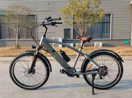 Электровелосипед GreenCamel Санта (R26 500W 48V 10Ah)
